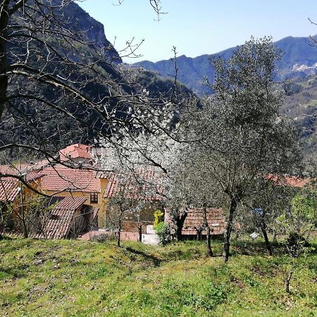 Il Metato Di Gallena Stazzema Exterior foto