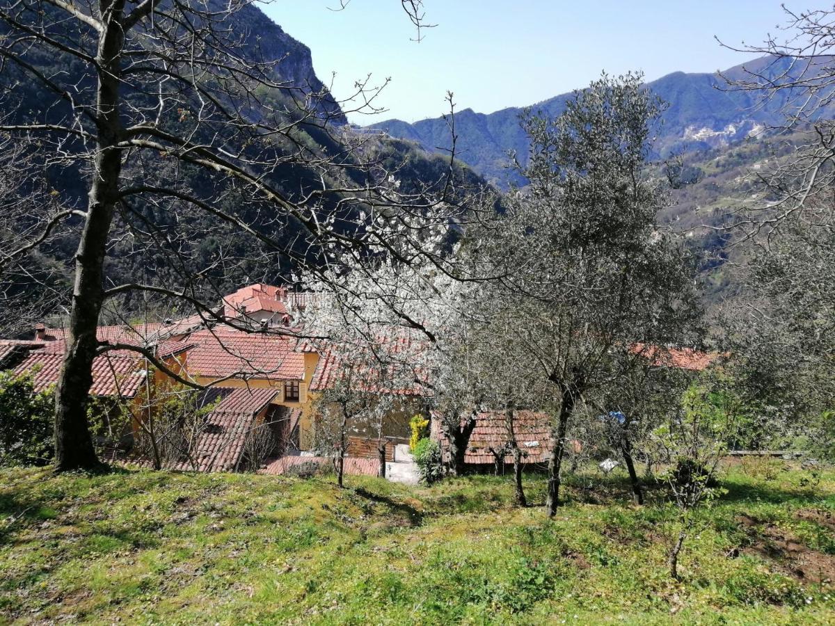 Il Metato Di Gallena Stazzema Exterior foto