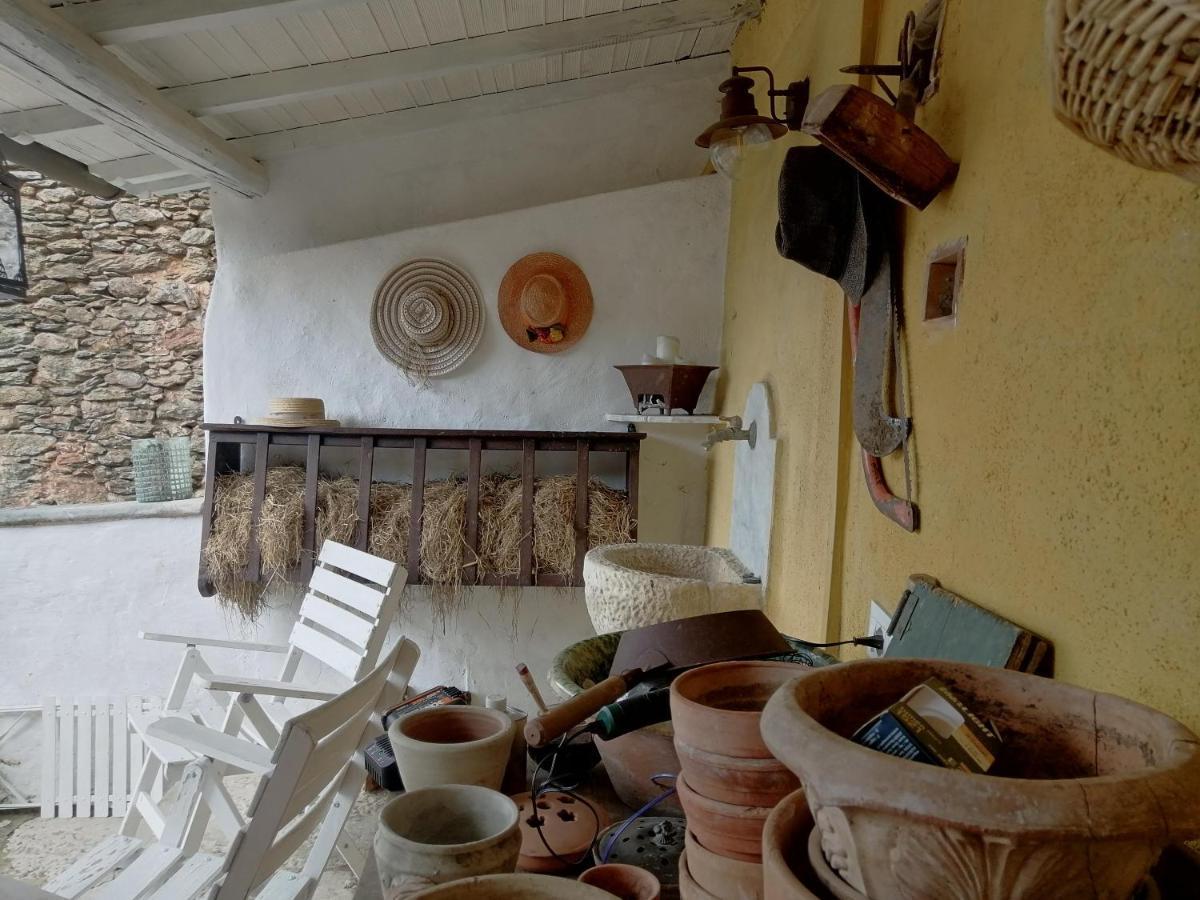 Il Metato Di Gallena Stazzema Exterior foto